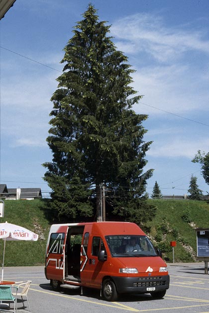 AB Teufen - 2003-07-25 AB Teufen - 2003-07-25