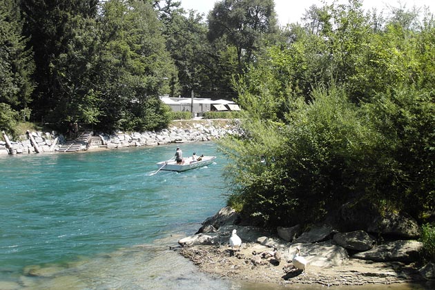 Fähre Bodenacker - 2017-07-18 Fähre Bodenacker - 2017-07-18