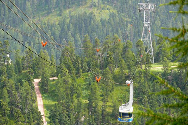 ESMM St. Moritz - 2009-07-22 ESMM St. Moritz - 2009-07-22