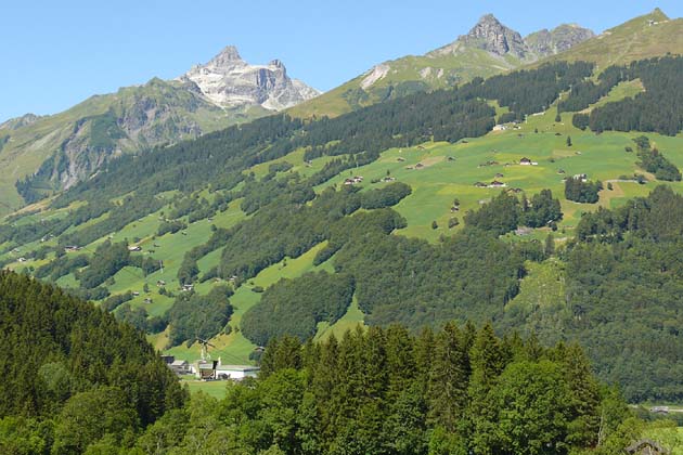 GTBE Elm - 2007-08-05 GTBE Elm - 2007-08-05