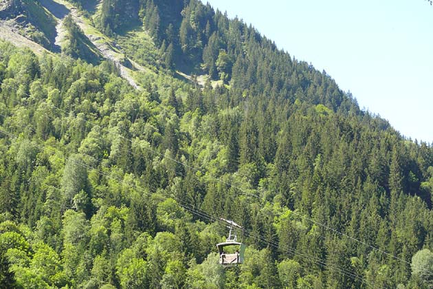 GTBE Elm - 2007-08-05 GTBE Elm - 2007-08-05