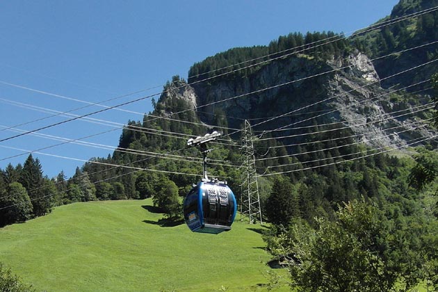 GTBE Elm - 2019-08-18 GTBE Elm - 2019-08-18