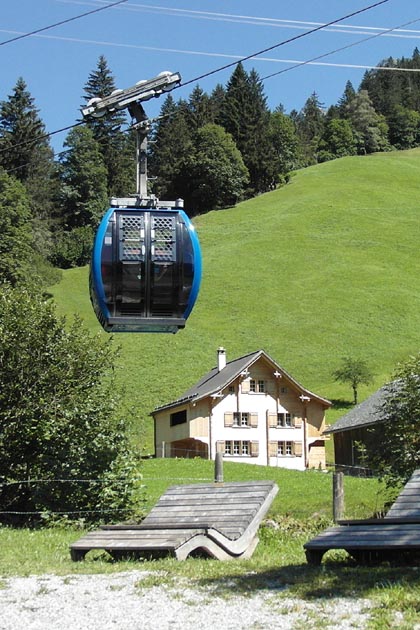 GTBE Elm - 2019-08-18 GTBE Elm - 2019-08-18