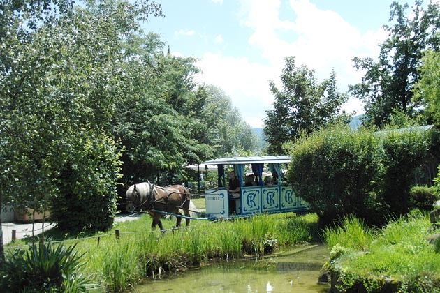Knies Kinderzoo Rapperswil - 2024-06-13 Knies Kinderzoo Rapperswil - 2024-06-13