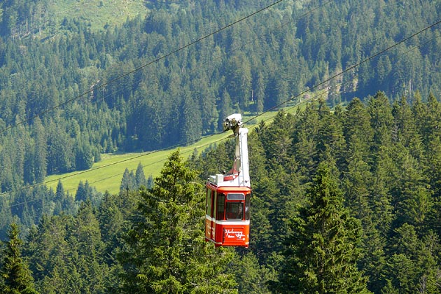 LSH Alpthal - 2009-07-21 LBH Alpthal - 2009-07-21