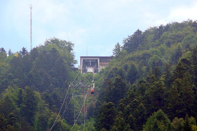 LSH - 2011-08-11 LSH - 2011-08-05