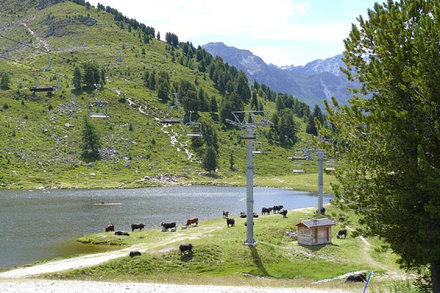 NVRM Nendaz - 2008-08-04