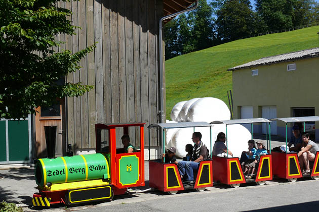 Sedel Berg Bahn Herisau - 2009-07-26