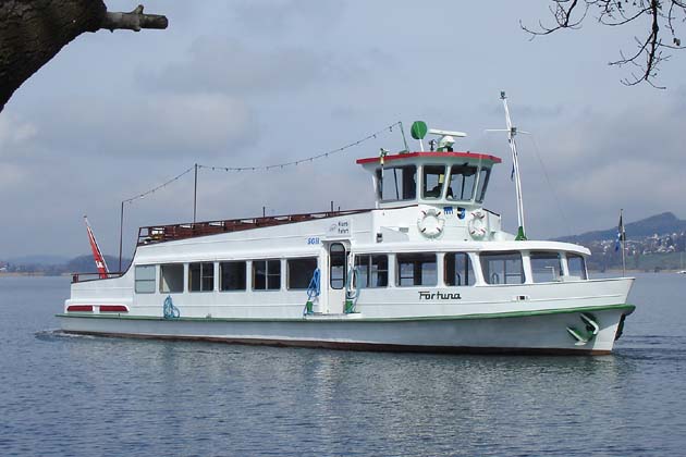 SGH Meisterschwanden Delphin - 2010-04-02 SGH Meisterschwanden Delphin - 2010-04-02