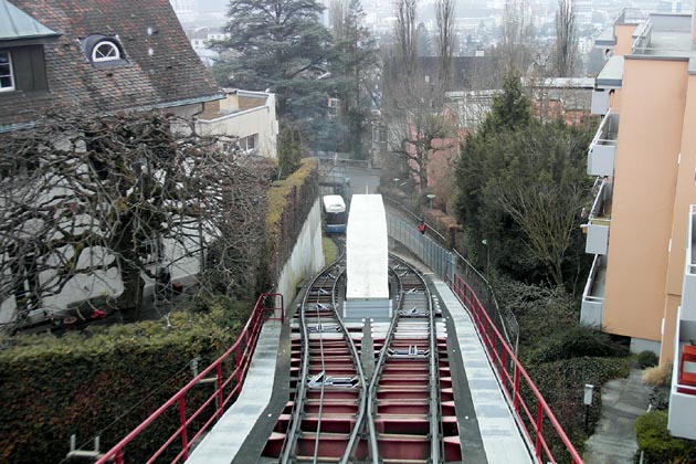 VBZ Rigiblick - 2026-01-24 VBZ Rigiblick - 2026-01-24